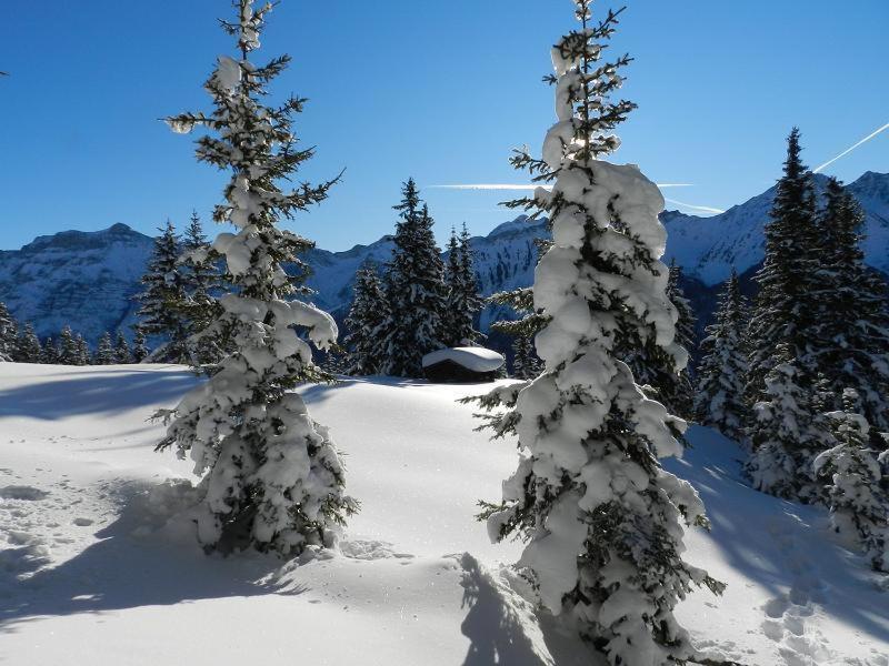 Apartment Peer Neustift im Stubaital Zewnętrze zdjęcie