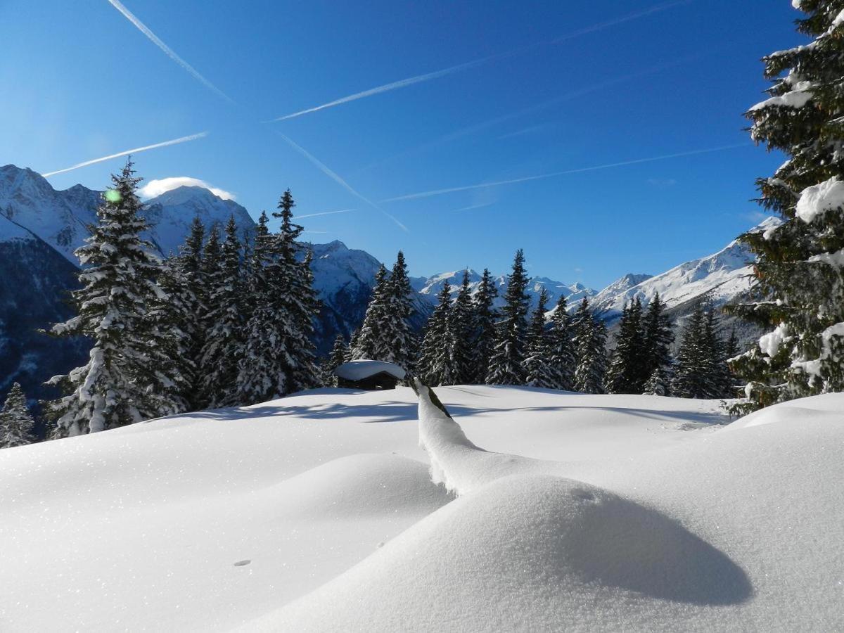 Apartment Peer Neustift im Stubaital Zewnętrze zdjęcie