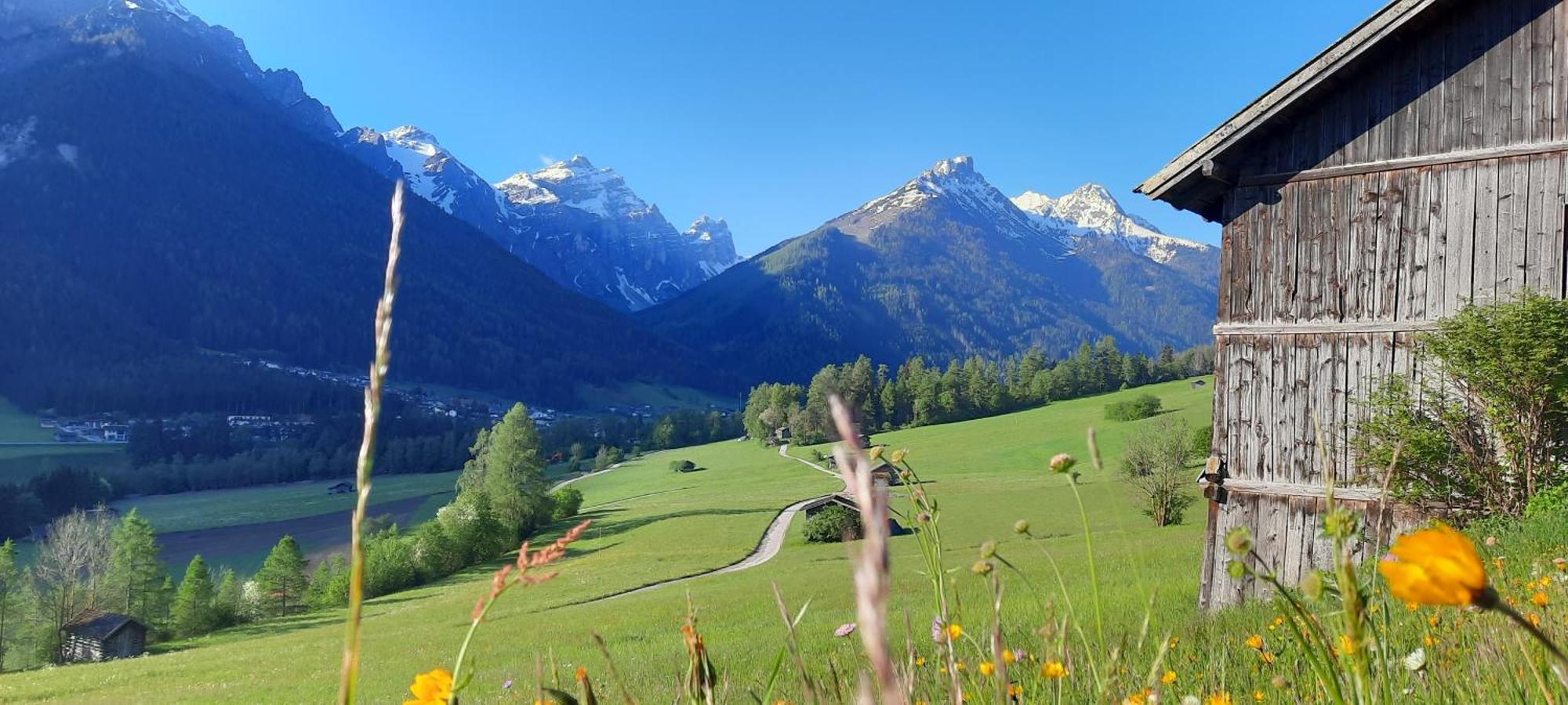 Apartment Peer Neustift im Stubaital Zewnętrze zdjęcie