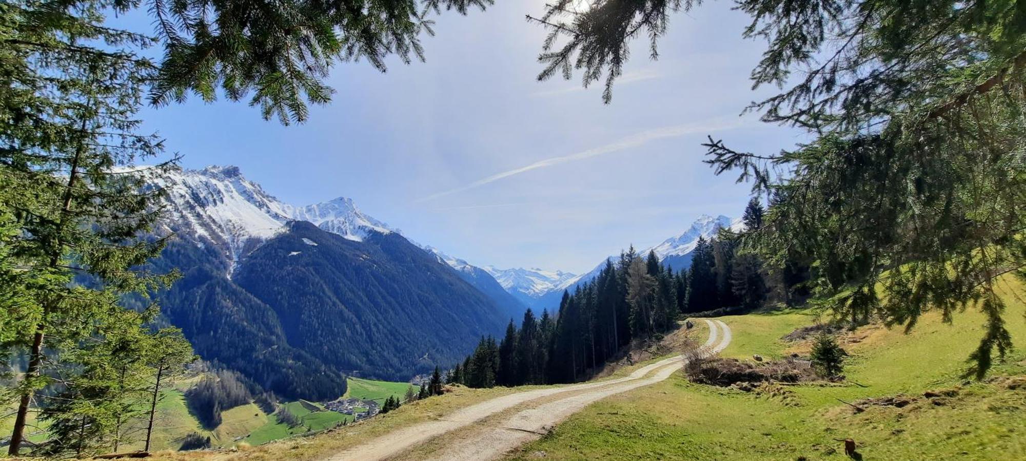 Apartment Peer Neustift im Stubaital Zewnętrze zdjęcie