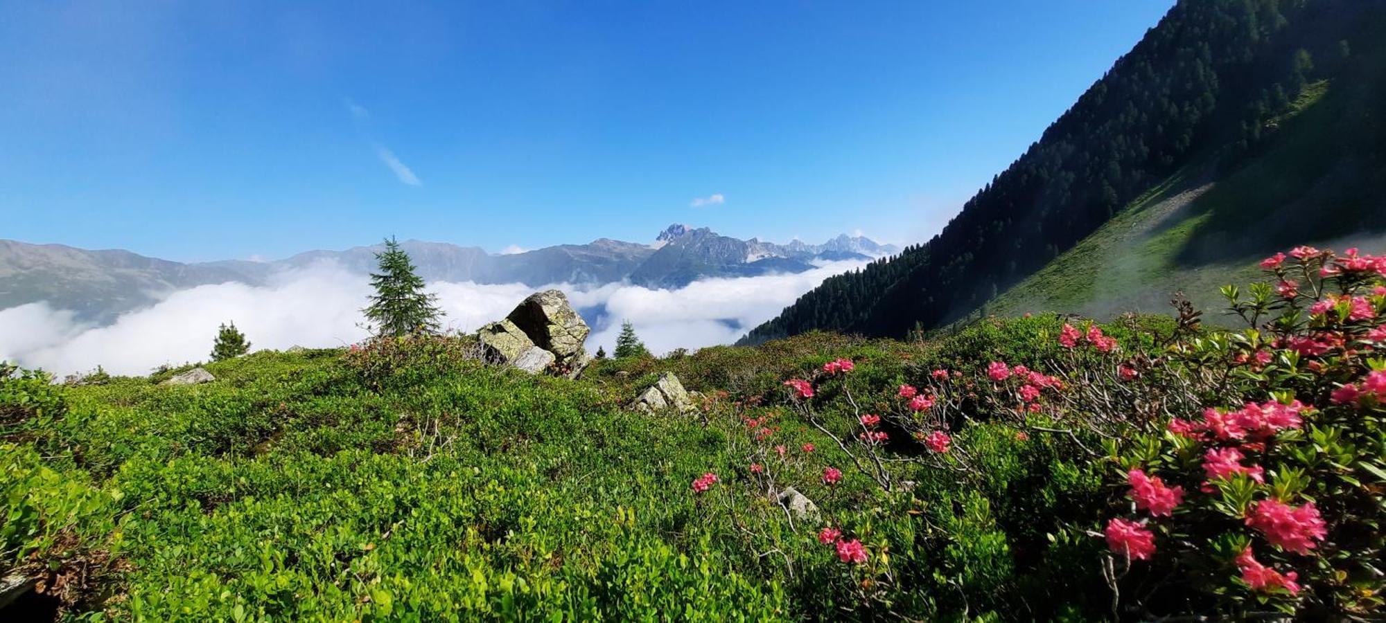 Apartment Peer Neustift im Stubaital Zewnętrze zdjęcie